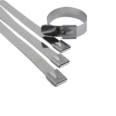 RYAN 304 Stainless Steel Cable Ties: For Industrial/Construction/Marine/Automotive Use, 1000-3115N Tensile Strength